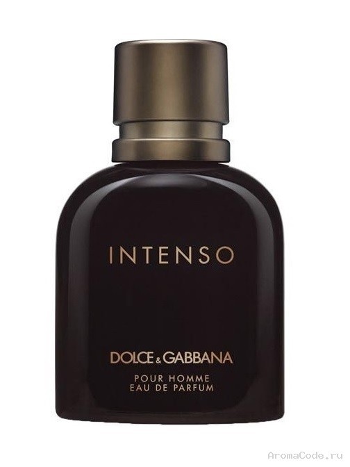 Dolce & Gabbana Intenso