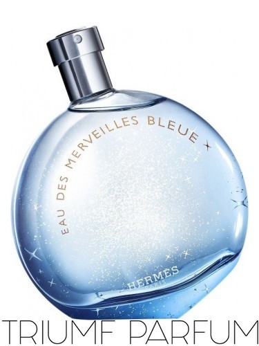 Hermes Eau Des Merveilles Bleue