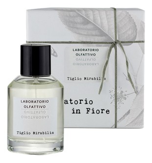 Tiglio Mirabilis Tiglio Mirabilis