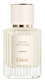 Atelier Des Fleurs Cedrus Atelier Des Fleurs Cedrus