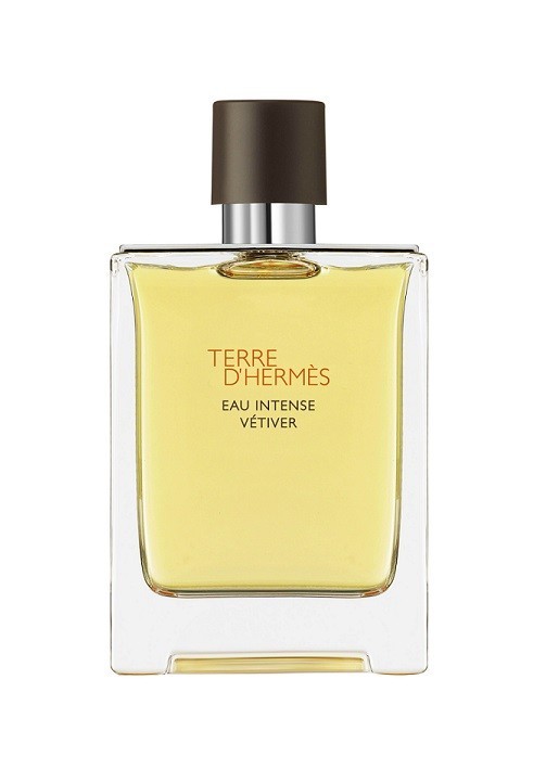 Hermes Terre D`Hermes Eau Intense Vetiver Hermes Terre D`Hermes Eau Intense Vetiver