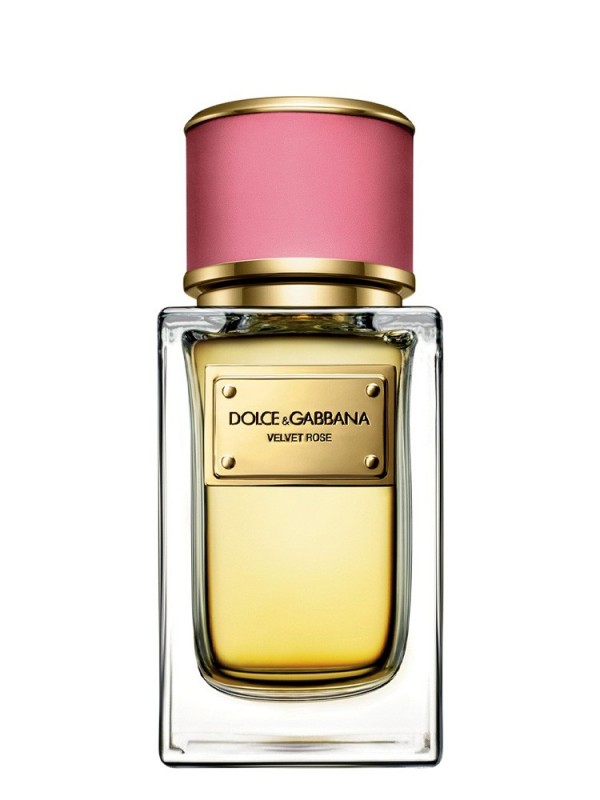 Dolce & Gabbana Velvet Rose