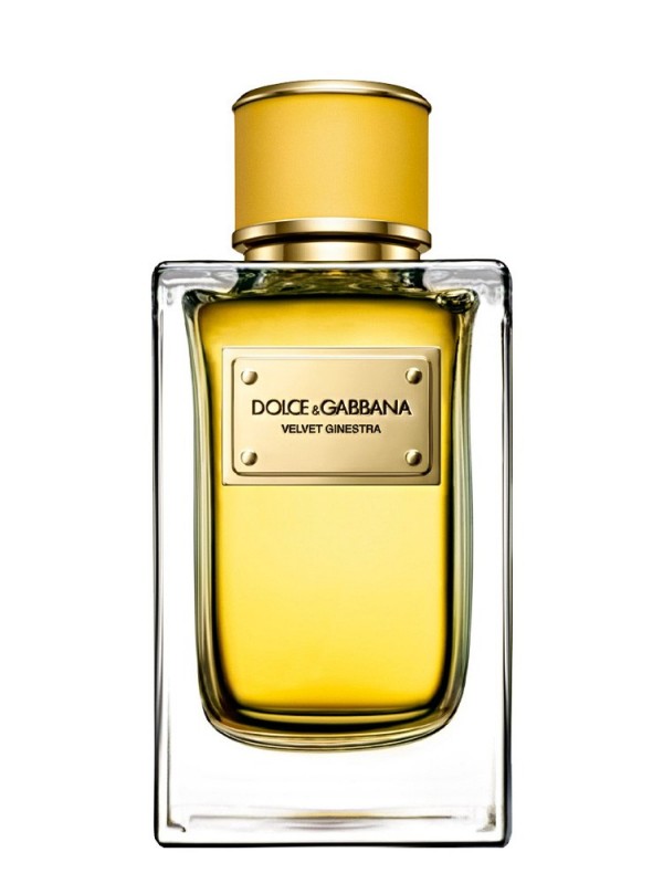 Dolce & Gabbana Velvet Ginestra