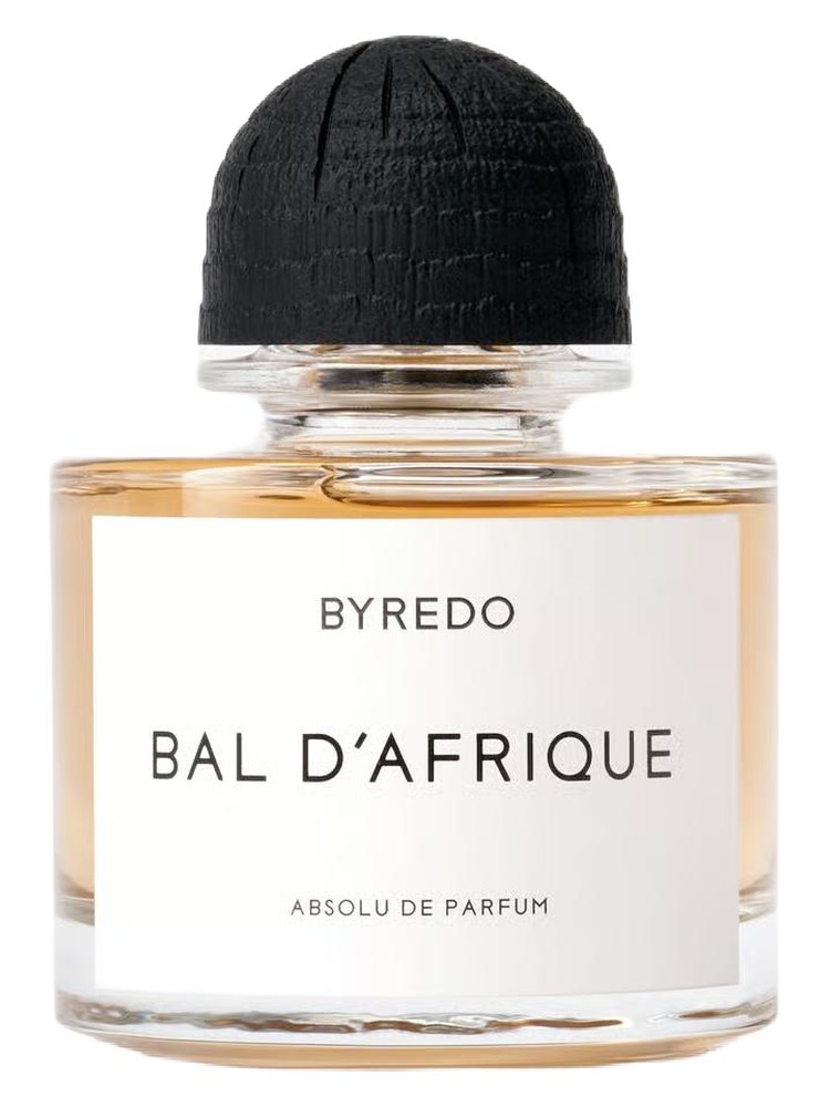 Bal D'Afrique Absolu