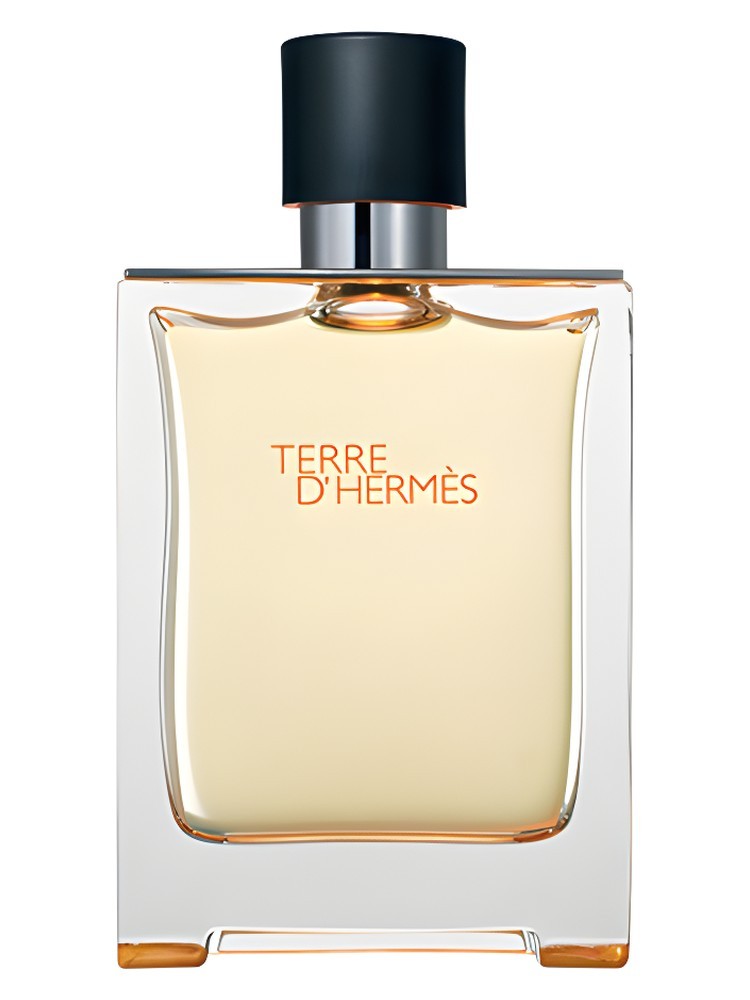 Hermes Terre D'Hermes (sale)