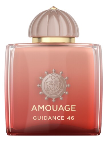 Guidance 46 Guidance 46
