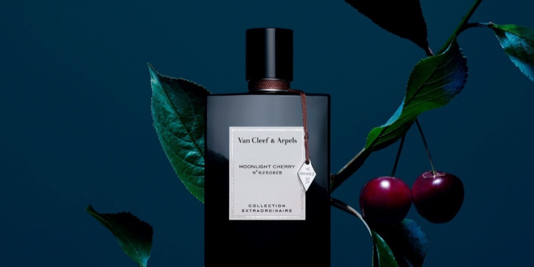 Moonlight Cherry Moonlight Cherry