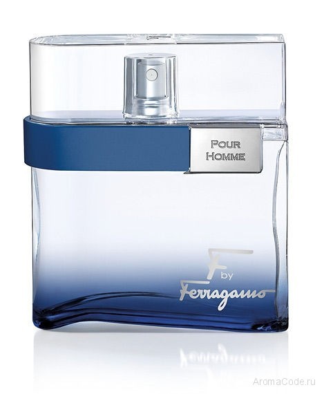 Salvatore Ferragamo F by Ferragamo Free Time