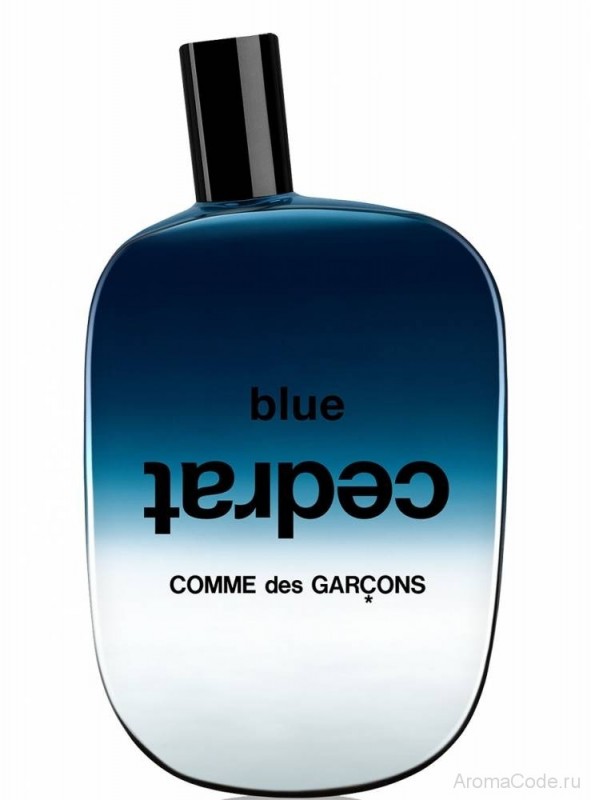 Comme des Garcons Blue Cedrat